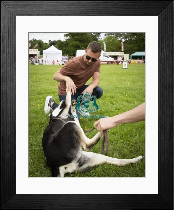 Framed Print : Scruffts Essex Hylands May 26, 2019 Framed Print : Scruffts Essex Hylands May 26, 2019
