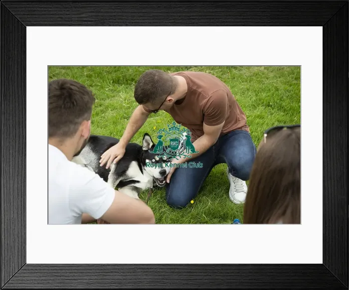 Framed Print : Scruffts Essex Hylands May 26, 2019 Framed Print : Scruffts Essex Hylands May 26, 2019