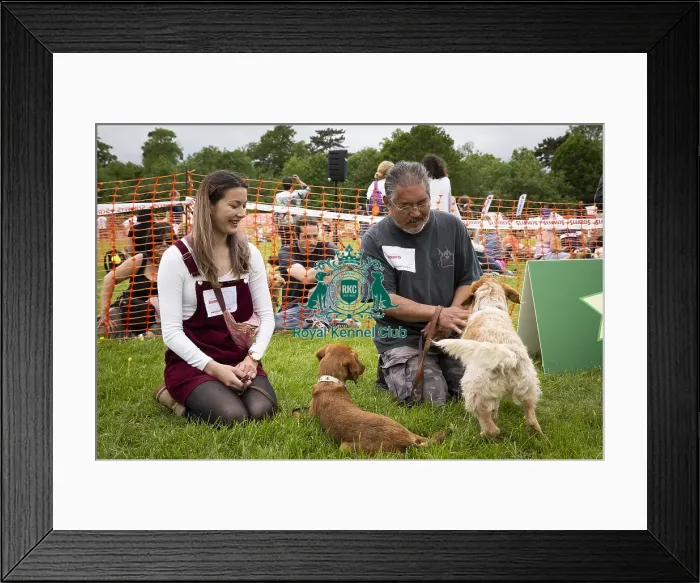 Framed Print : Scruffts Essex Hylands May 26, 2019 Framed Print : Scruffts Essex Hylands May 26, 2019