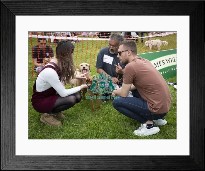 Framed Print : Scruffts Essex Hylands May 26, 2019
