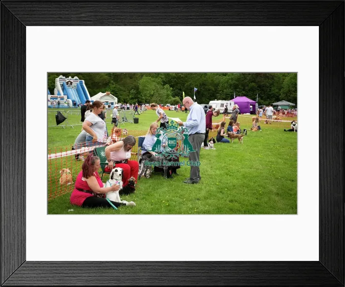 Framed Print : Scruffts Essex Hylands May 26, 2019 Framed Print : Scruffts Essex Hylands May 26, 2019