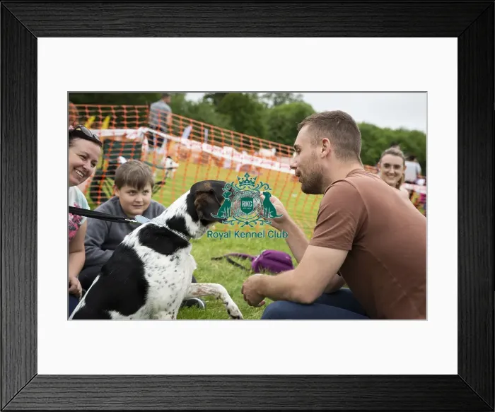 Framed Print : Scruffts Essex Hylands May 26, 2019 Framed Print : Scruffts Essex Hylands May 26, 2019