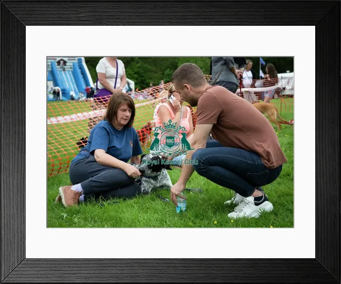 Framed Print : Scruffts Essex Hylands May 26, 2019 Framed Print : Scruffts Essex Hylands May 26, 2019