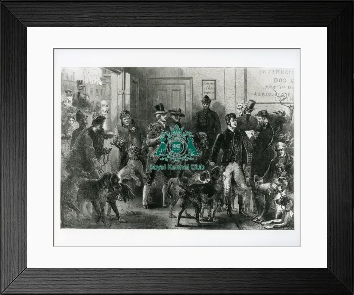 Framed Print : Islington International Dog Show Framed Print : Islington International Dog Show