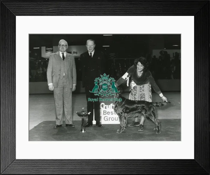 Framed Print : Crufts Best in Show 1981 Framed Print : Crufts Best in Show 1981