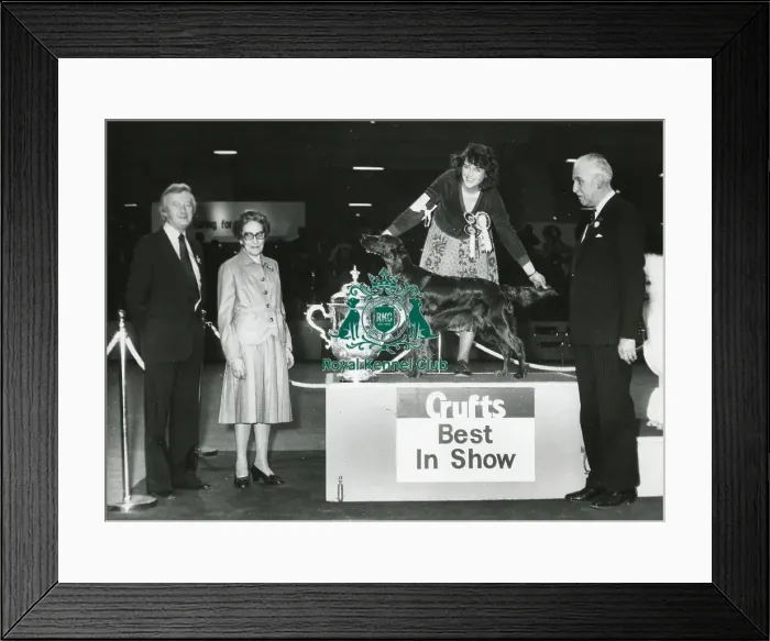 Framed Print : Crufts Best in Show 1981 Framed Print : Crufts Best in Show 1981