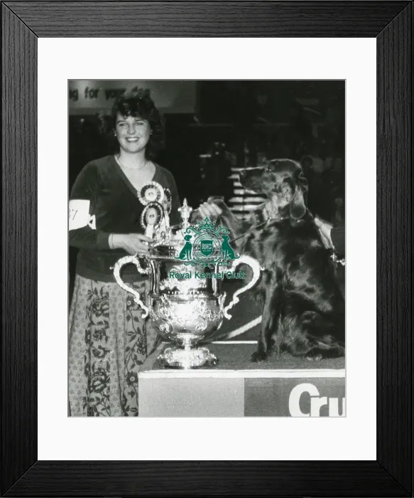 Framed Print : Crufts Best in Show 1981