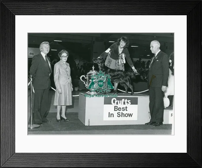 Framed Print : Crufts Best in Show 1981 Framed Print : Crufts Best in Show 1981