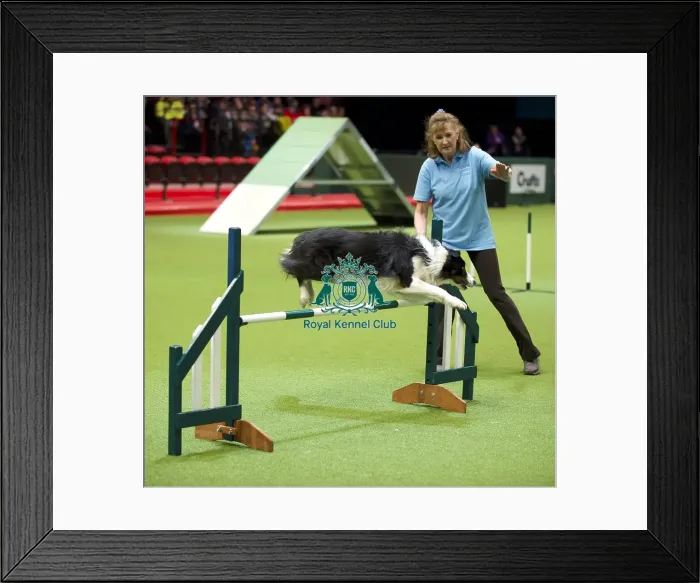 Framed Print : Crufts 2020