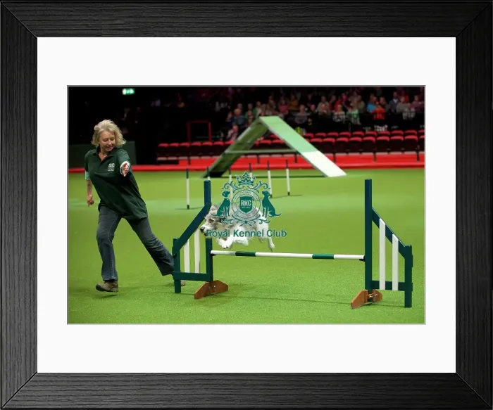 Framed Print : Crufts 2020 Framed Print : Crufts 2020