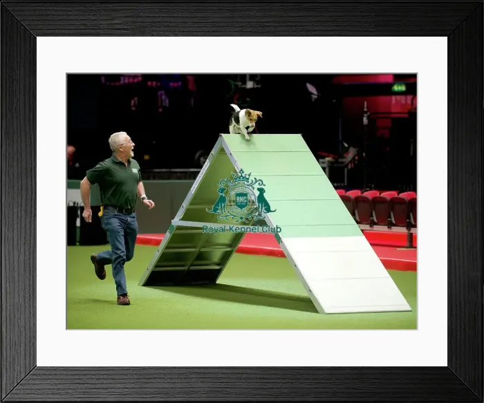 Framed Print : Crufts 2020 Framed Print : Crufts 2020