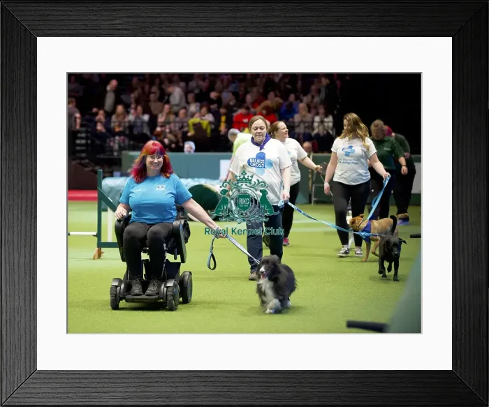 Framed Print : Crufts 2020
