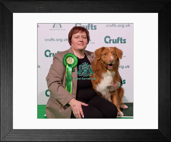 Framed Print : Crufts 2020