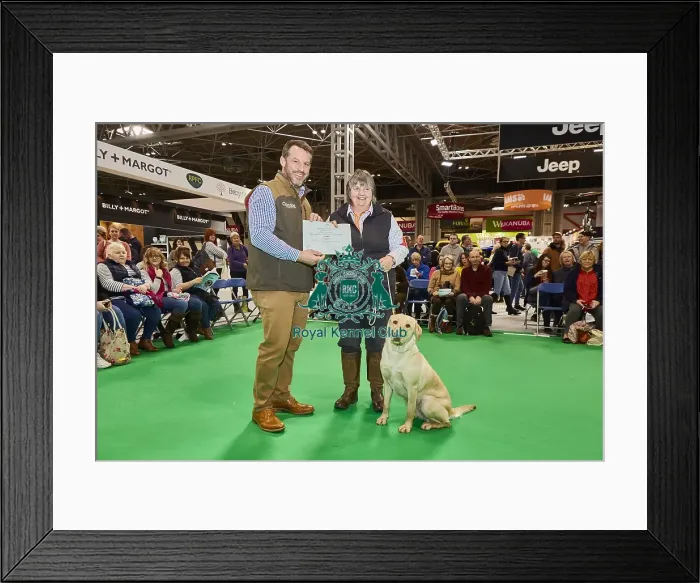 Framed Print : Crufts 2020 Framed Print : Crufts 2020
