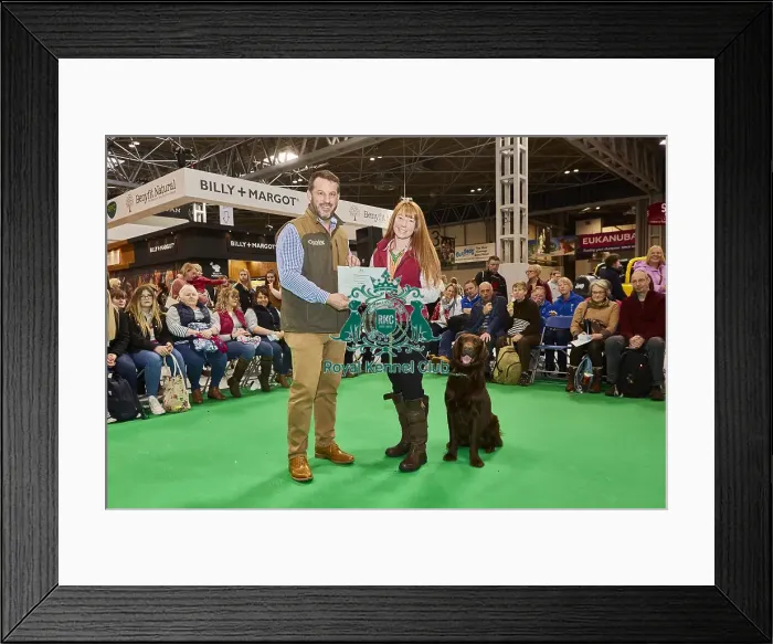 Framed Print : Crufts 2020 Framed Print : Crufts 2020