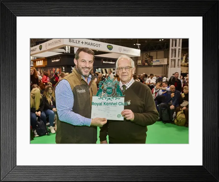 Framed Print : Crufts 2020 Framed Print : Crufts 2020