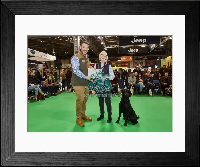 Framed Print : Crufts 2020 Framed Print : Crufts 2020