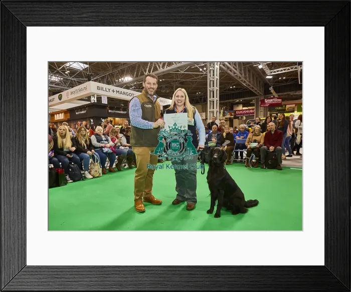 Framed Print : Crufts 2020 Framed Print : Crufts 2020