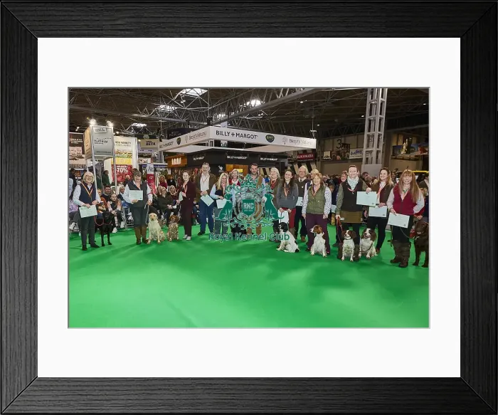 Framed Print : Crufts 2020 Framed Print : Crufts 2020
