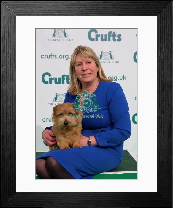 Framed Print : Crufts 2020