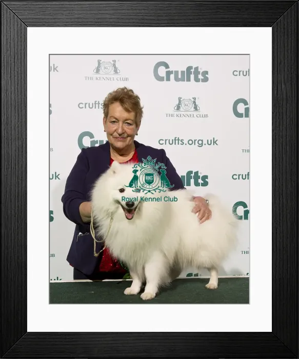 Framed Print : Crufts 2020 Framed Print : Crufts 2020