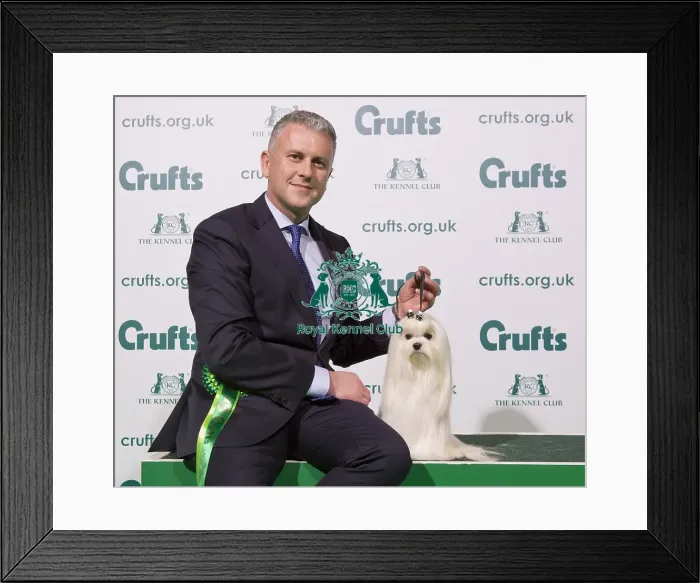 Framed Print : Crufts 2020 Framed Print : Crufts 2020