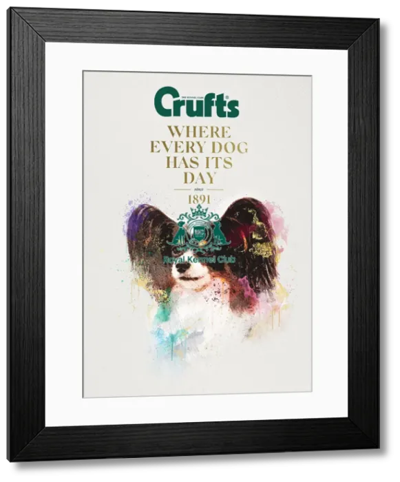 Framed Print : Crufts poster 2020 artwork featuring Papillon Framed Print : Crufts poster 2020 artwork featuring Papillon