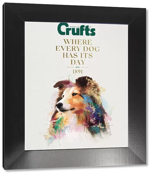 Crufts poster 2020 artwork featuring Collie
