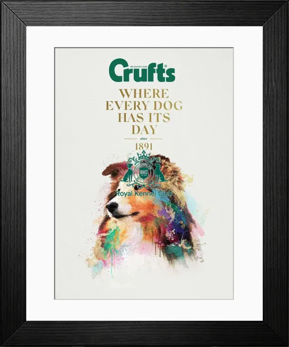 Framed Print : Crufts poster 2020 artwork featuring Collie Framed Print : Crufts poster 2020 artwork featuring Collie