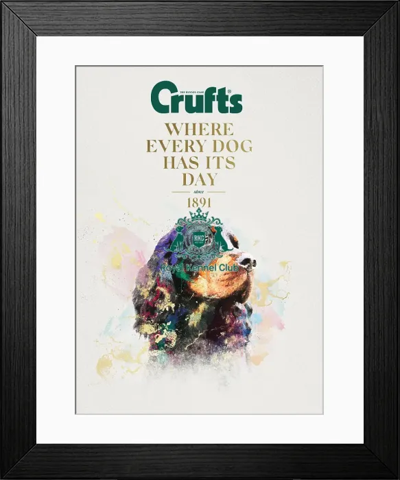 Framed Print : Crufts poster 2020 artwork featuring Cocker Spaniel