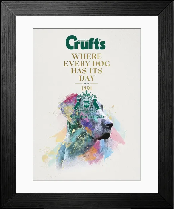 Framed Print : Crufts poster 2020 artwork featuring Weimaraner Framed Print : Crufts poster 2020 artwork featuring Weimaraner