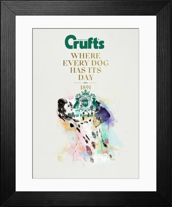 Framed Print : Crufts poster 2020 artwork featuring Dalmatian Framed Print : Crufts poster 2020 artwork featuring Dalmatian