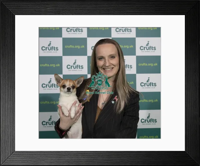 Framed Print : Crufts 2022 Framed Print : Crufts 2022