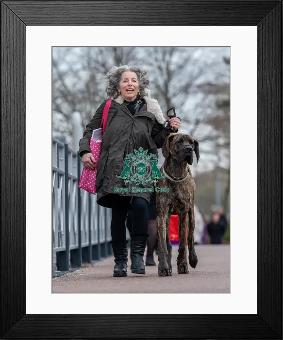 Framed Print : Crufts 2022 Framed Print : Crufts 2022