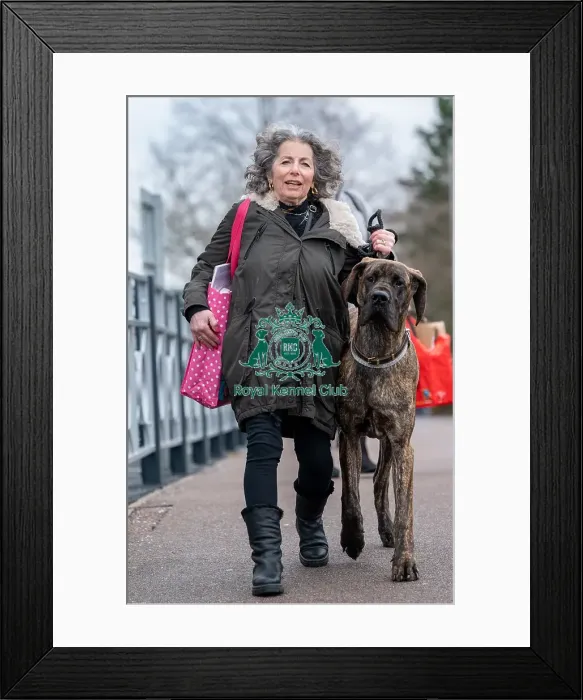 Framed Print : Crufts 2022 Framed Print : Crufts 2022