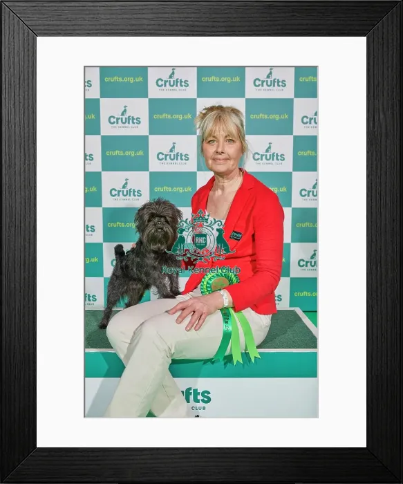 Framed Print : Crufts 2022 Framed Print : Crufts 2022