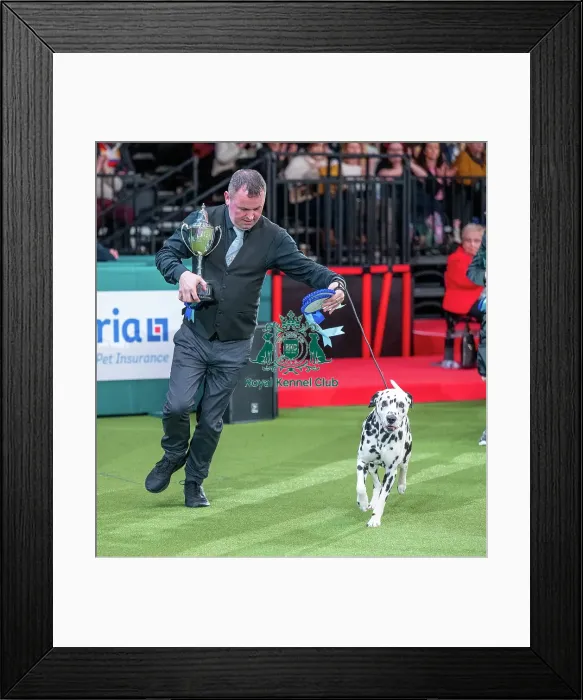 Framed Print : Crufts 2022 Framed Print : Crufts 2022
