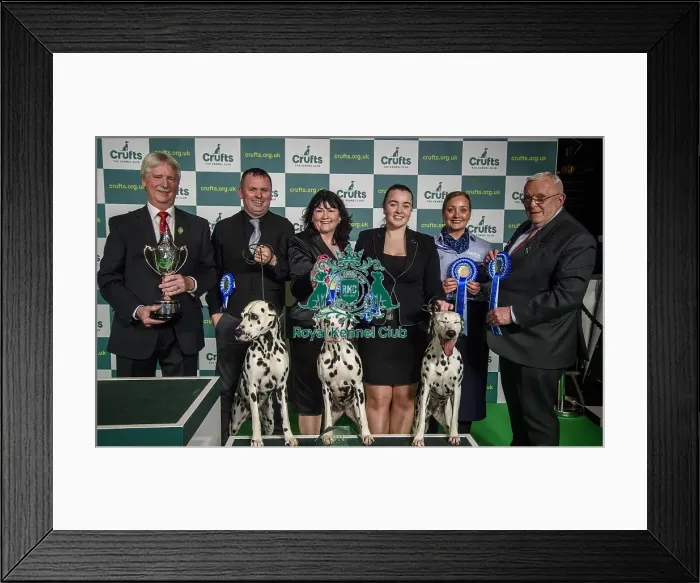 Framed Print : Crufts 2022 Framed Print : Crufts 2022