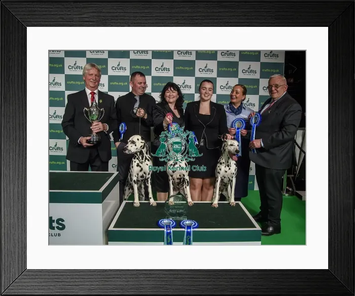 Framed Print : Crufts 2022 Framed Print : Crufts 2022