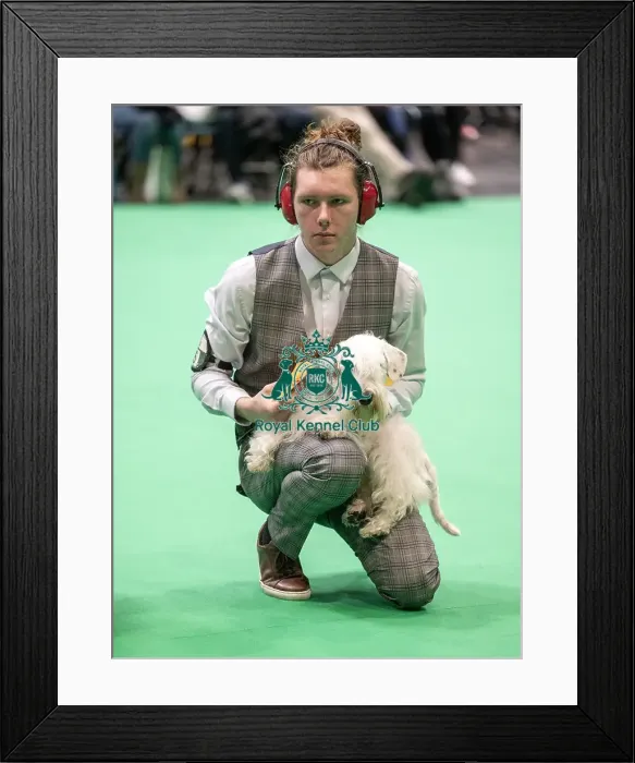 Framed Print : Crufts 2022 Framed Print : Crufts 2022