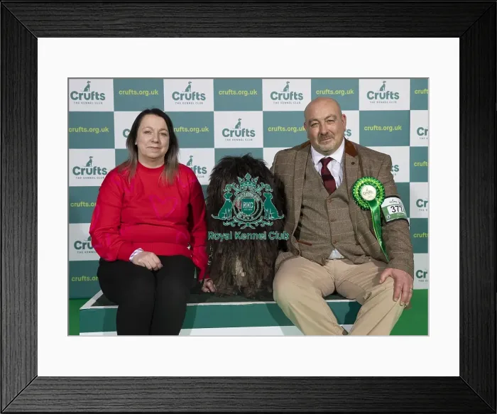 Framed Print : Crufts 2022 Framed Print : Crufts 2022
