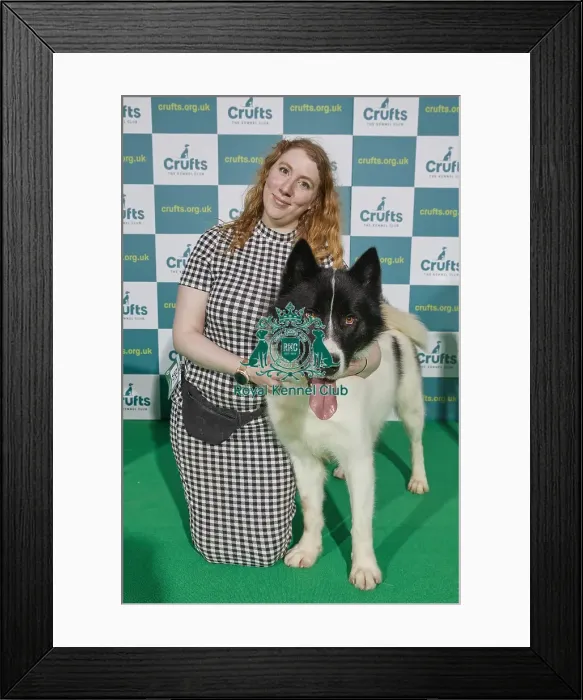Framed Print : Crufts 2022 Framed Print : Crufts 2022
