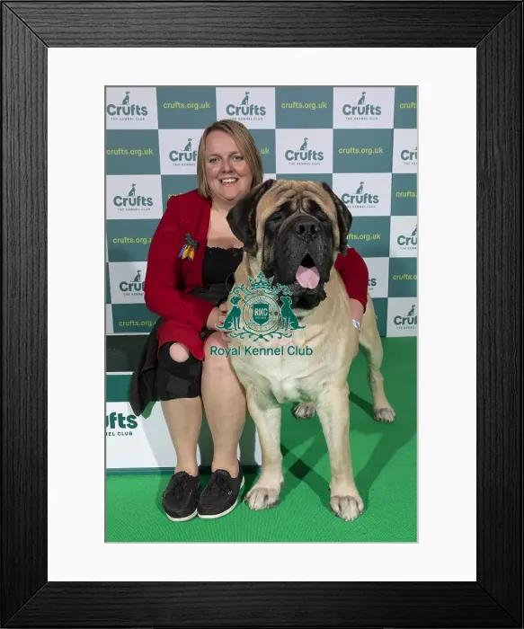 Framed Print : Crufts 2022 Framed Print : Crufts 2022