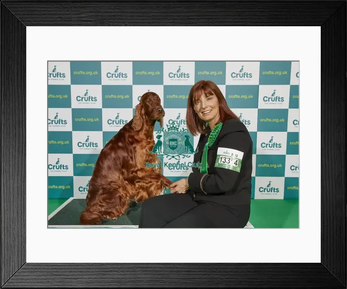 Framed Print : Crufts 2022