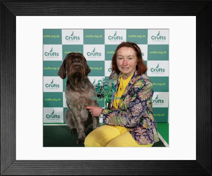 Framed Print : Crufts 2022 Framed Print : Crufts 2022