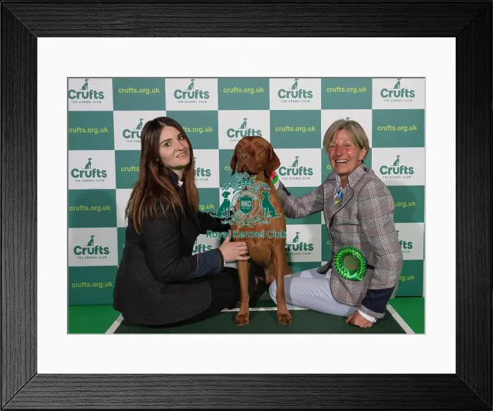Framed Print : Crufts 2022