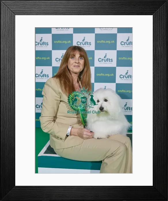 Framed Print : Crufts 2022 Framed Print : Crufts 2022