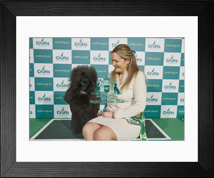 Framed Print : Crufts 2022 Framed Print : Crufts 2022