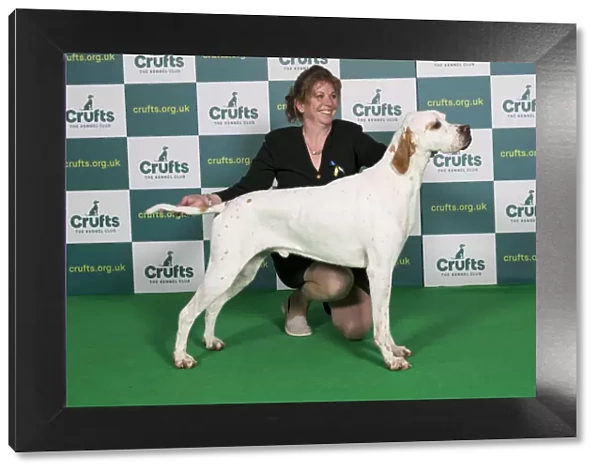 Best of Breed Pointer Crufts 2022