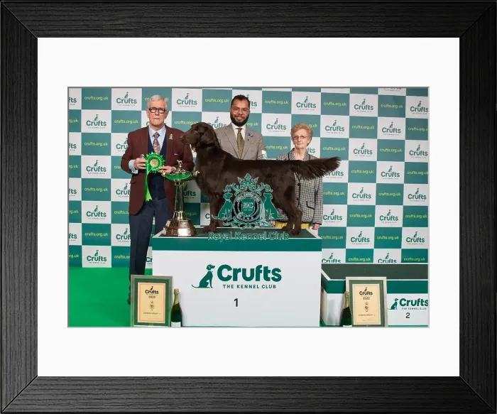 Framed Print : Gundog Group Winner 1st place
